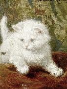 Signed Henriette Ronner